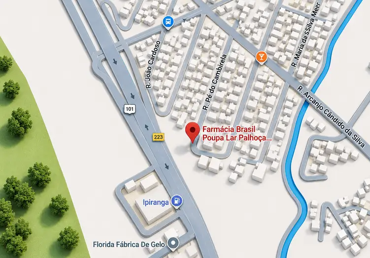 google-maps-farmacia-brasil-poupalar-praia-de-fora-paloca-sc-2